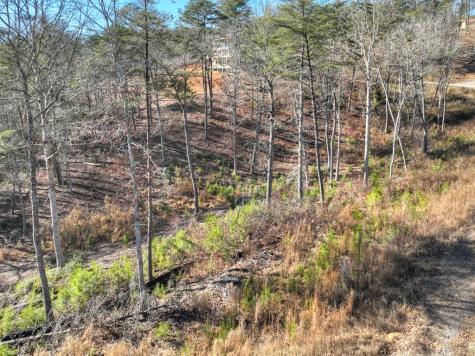 Lot 16 Mountain Laurel Ridge Mineral Bluff GA 30559