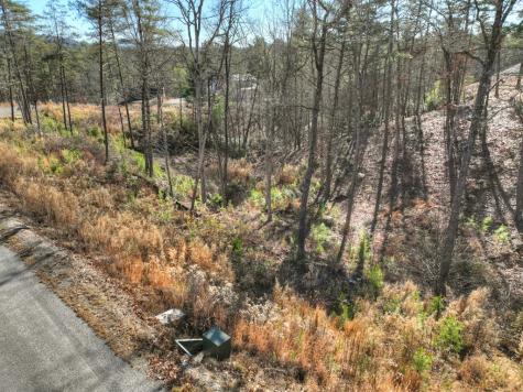 Lot 16 Mountain Laurel Ridge Mineral Bluff GA 30559