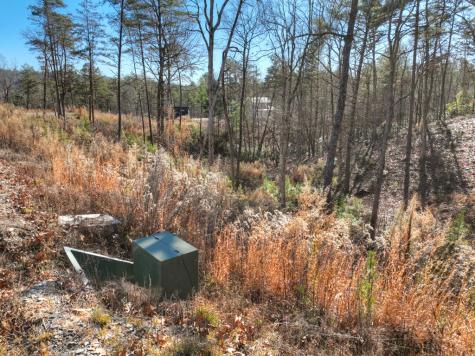 Lot 16 Mountain Laurel Ridge Mineral Bluff GA 30559