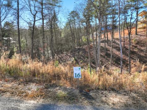 Lot 16 Mountain Laurel Ridge Mineral Bluff GA 30559