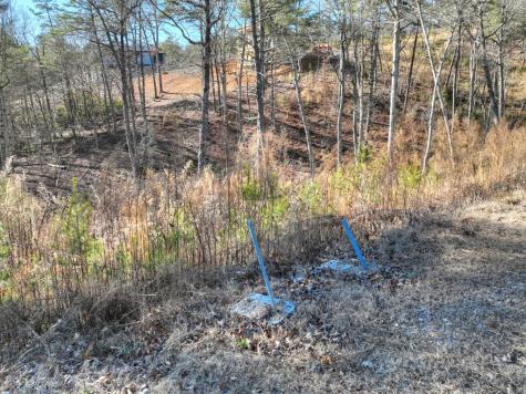 Lot 16 Mountain Laurel Ridge Mineral Bluff GA 30559