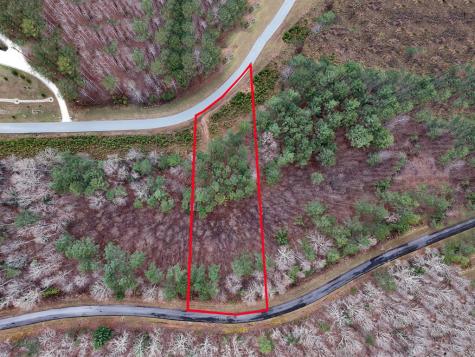 Lot 59 Ridge Peak View Blairsville GA 30512