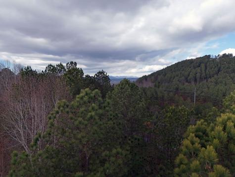 Lot 59 Ridge Peak View Blairsville GA 30512