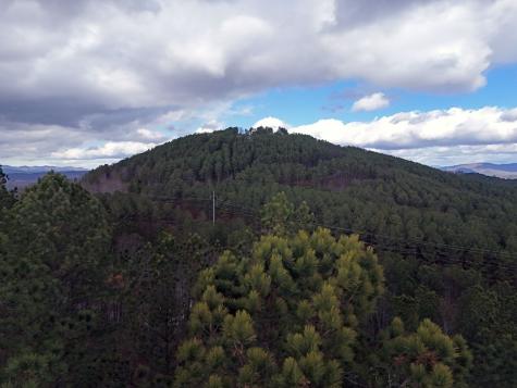 Lot 59 Ridge Peak View Blairsville GA 30512