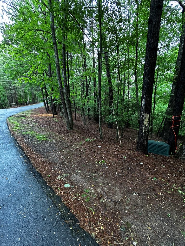 00 Lazy River Lane Ellijay GA 30540