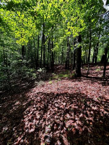 00 Lazy River Lane Ellijay GA 30540