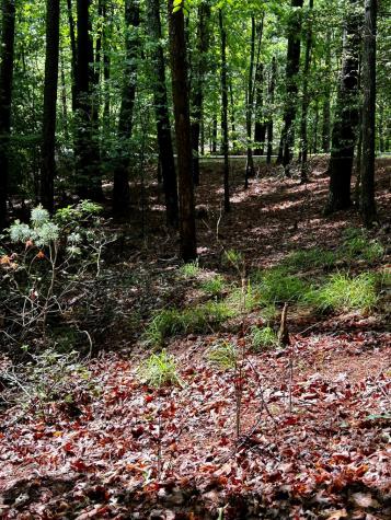 00 Lazy River Lane Ellijay GA 30540