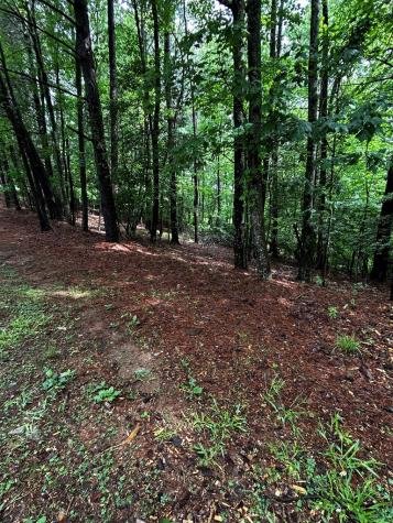 00 Lazy River Lane Ellijay GA 30540