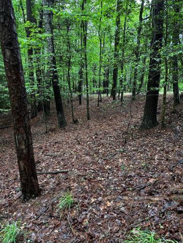 00 Lazy River Lane Ellijay GA 30540