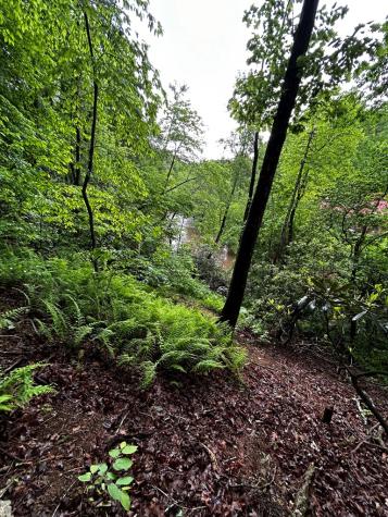 00 Lazy River Lane Ellijay GA 30540
