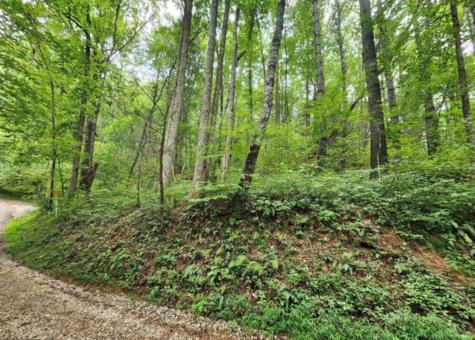 2B Poplar Cove Suches GA 30572