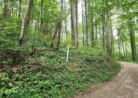 2B Poplar Cove Suches GA 30572