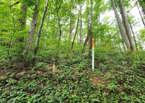 2B Poplar Cove Suches GA 30572