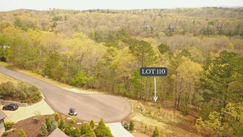 Lot 110 Fawn Way Mineral Bluff GA 30559