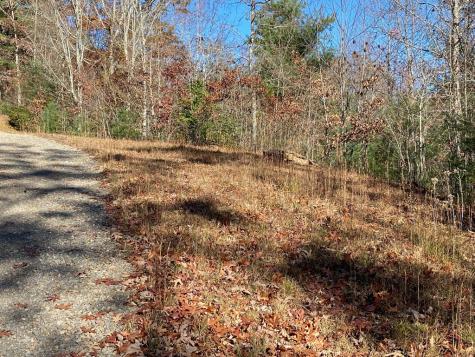 Lot 24 Thimble Loop Murphy NC 28906