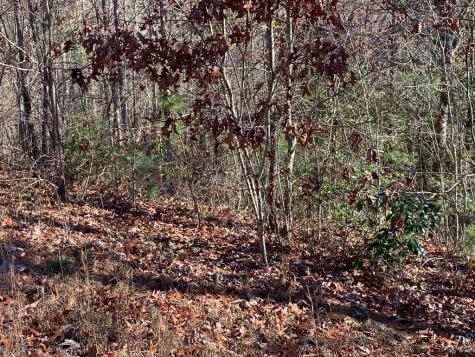 Lot 24 Thimble Loop Murphy NC 28906