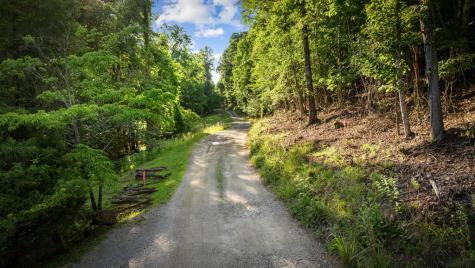 2.48 Acr Valley Lane Mineral Bluff GA 30559