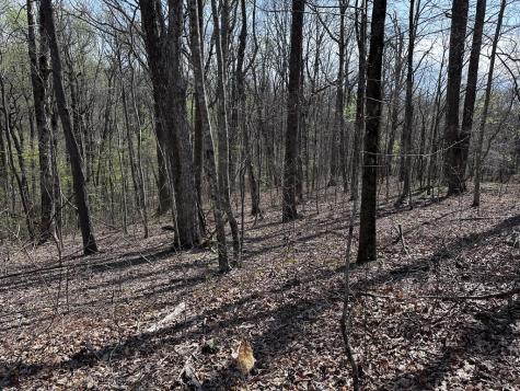 189 Street Andrews Way Ellijay GA 30536