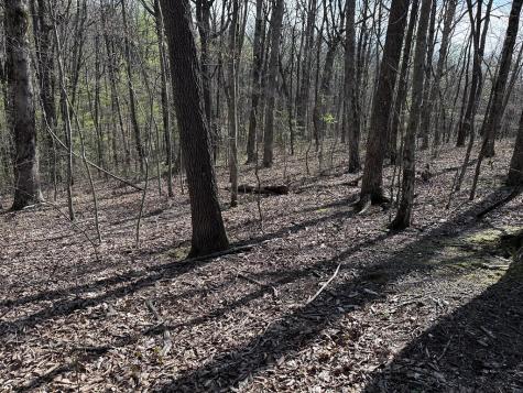 189 Street Andrews Way Ellijay GA 30536