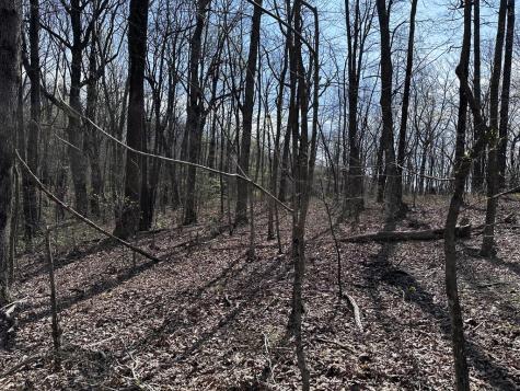 189 Street Andrews Way Ellijay GA 30536