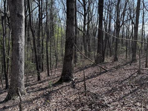 189 Street Andrews Way Ellijay GA 30536