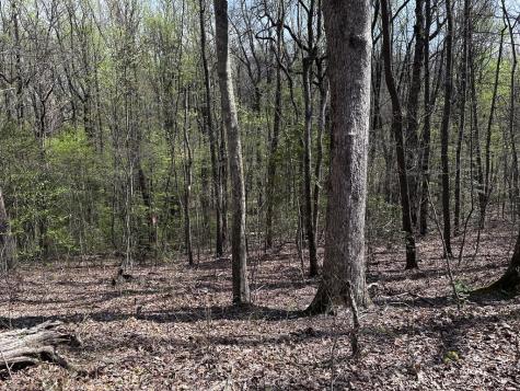 189 Street Andrews Way Ellijay GA 30536