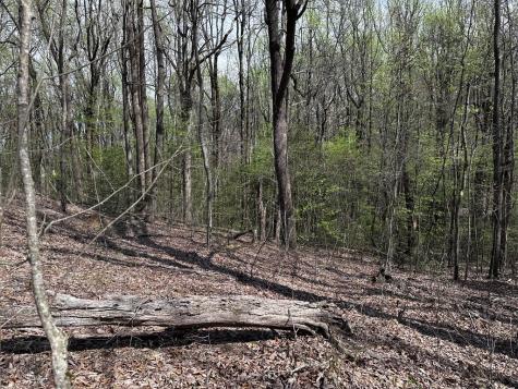 189 Street Andrews Way Ellijay GA 30536