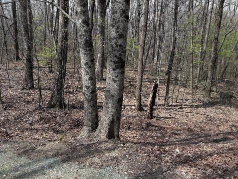 189 Street Andrews Way Ellijay GA 30536