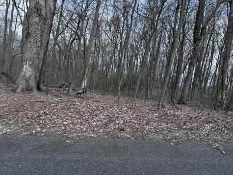 189 Street Andrews Way Ellijay GA 30536