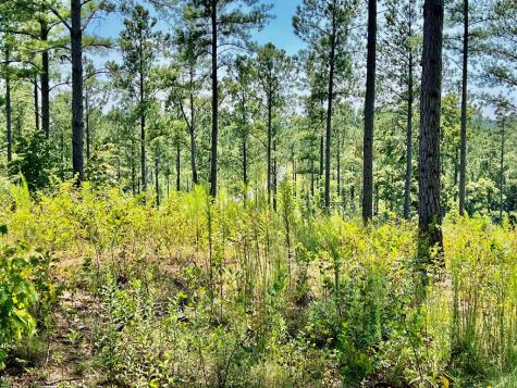 59 Seven Mile Creek Road Ellijay GA 30175