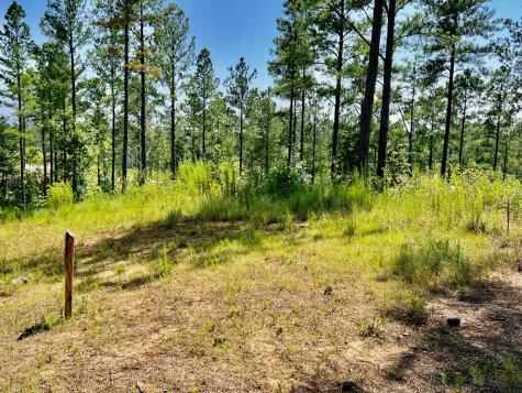 59 Seven Mile Creek Road Ellijay GA 30175