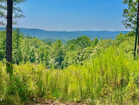 59 Seven Mile Creek Road Ellijay GA 30175