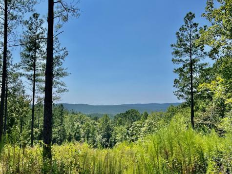 59 Seven Mile Creek Road Ellijay GA 30175