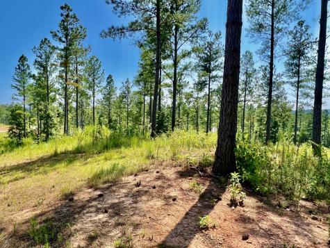 59 Seven Mile Creek Road Ellijay GA 30175