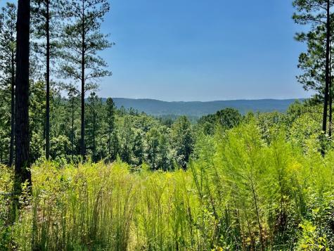 59 Seven Mile Creek Road Ellijay GA 30175