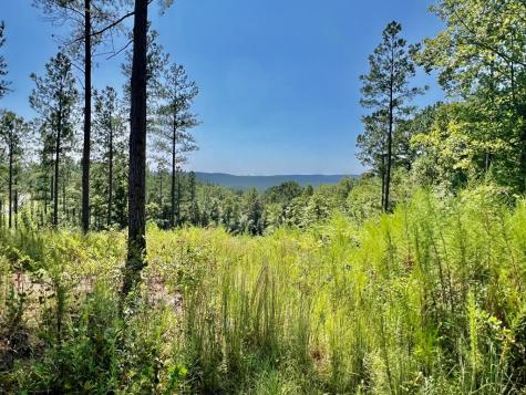 59 Seven Mile Creek Road Ellijay GA 30175