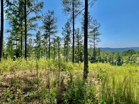 59 Seven Mile Creek Road Ellijay GA 30175