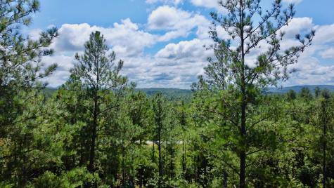 59 Seven Mile Creek Road Ellijay GA 30175