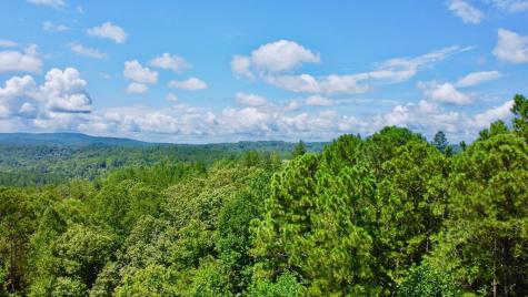 59 Seven Mile Creek Road Ellijay GA 30175