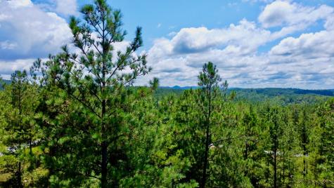 59 Seven Mile Creek Road Ellijay GA 30175