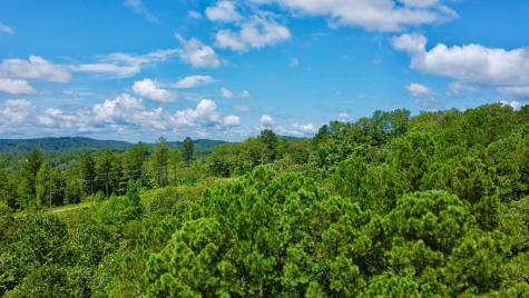 59 Seven Mile Creek Road Ellijay GA 30175