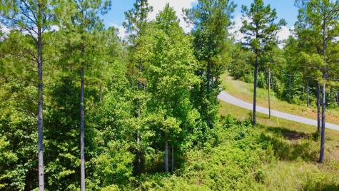 59 Seven Mile Creek Road Ellijay GA 30175