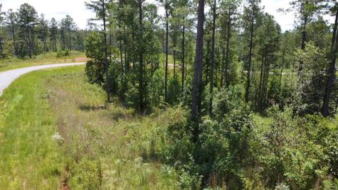 59 Seven Mile Creek Road Ellijay GA 30175