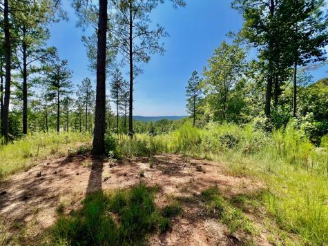 59 Seven Mile Creek Road Ellijay GA 30175