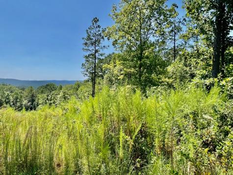 59 Seven Mile Creek Road Ellijay GA 30175