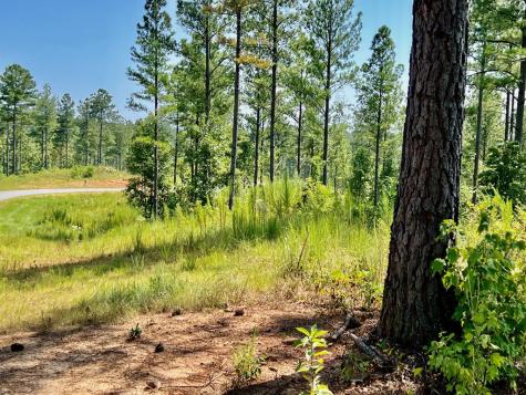 59 Seven Mile Creek Road Ellijay GA 30175