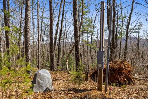 40A Synacia Road Mineral Bluff GA 30559