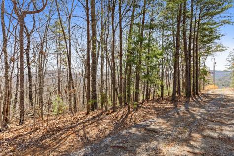 40A Synacia Road Mineral Bluff GA 30559