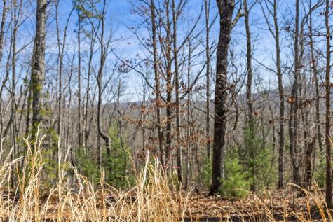 40A Synacia Road Mineral Bluff GA 30559