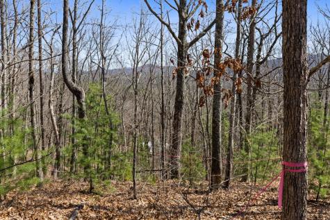 40A Synacia Road Mineral Bluff GA 30559